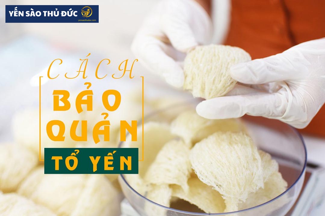 Cách bảo quản tổ yến sào không bị hư hỏng