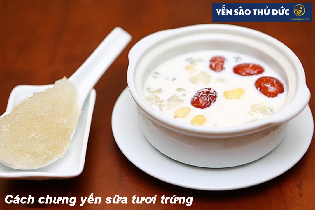 Cách chưng yến sữa tươi trứng