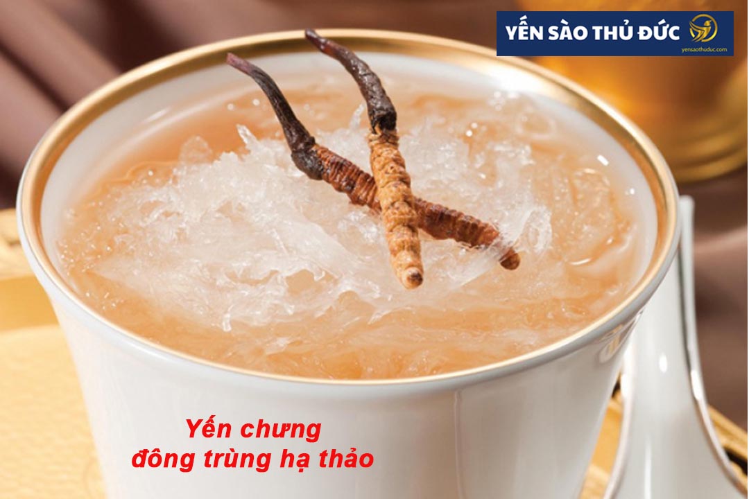 Cách chưng yến với đông trùng hạ thảo thơm ngon bổ dưỡng quý giá