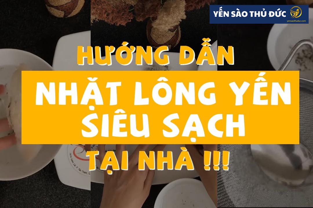 Cách nhặt lông yến nhanh nhất có thể tự làm tại nhà