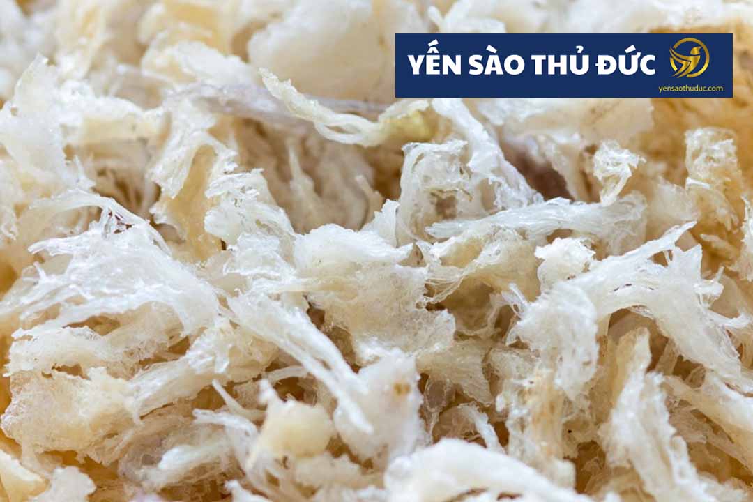 Chân yến rút lông giá bao nhiêu