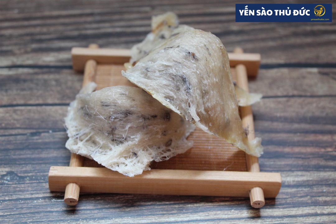 Chim yến làm tổ như thế nào? Cấu tạo của tổ chim yến ra sao 5 Dinh dưỡng có trong tổ yến sào là gì