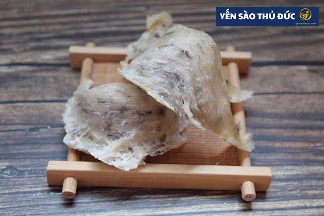 Giá tổ yến thô bao nhiêu tiền?