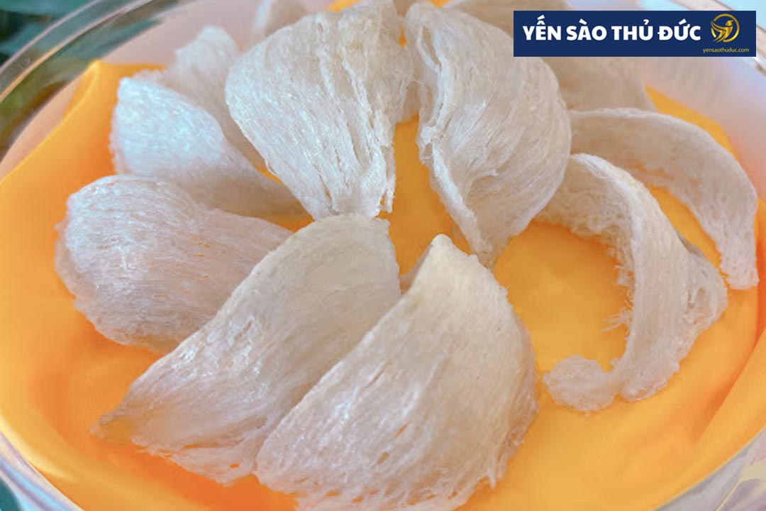 Giá tổ yến rút lông bao nhiêu tiền?