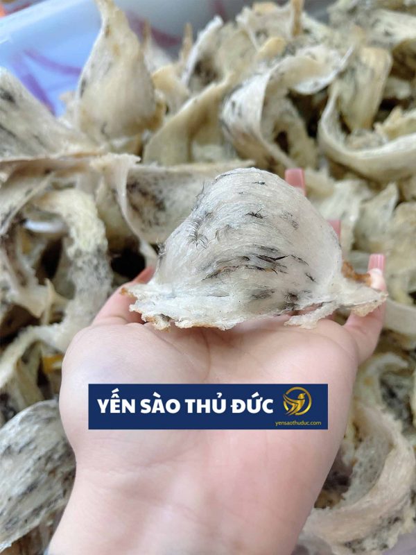 Tổ yến thô loại 1 - 100 gram