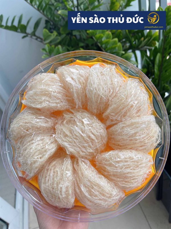 Tổ yến sào tinh chế nguyên chất loại 1 - 100 gram tặng táo đỏ đường phèn