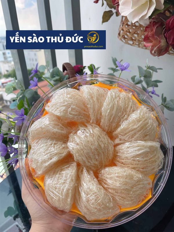 Tổ yến sào tinh chế nguyên chất loại 1 - 100 gram tặng táo đỏ đường phèn