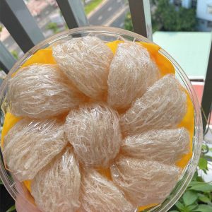 Tổ yến sào tinh chế nguyên chất loại 1 - 100 gram tặng táo đỏ đường phèn