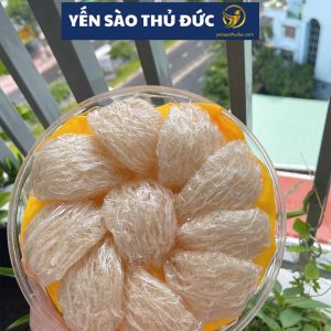 Tổ yến sào tinh chế nguyên chất loại 1 - 100 gram tặng táo đỏ đường phèn