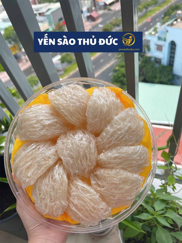 Tổ yến sào tinh chế nguyên chất loại 1 - 100 gram tặng táo đỏ đường phèn