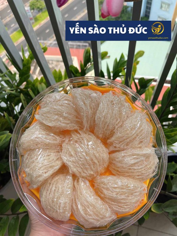 Tổ yến sào tinh chế nguyên chất loại 1 - 100 gram tặng táo đỏ đường phèn