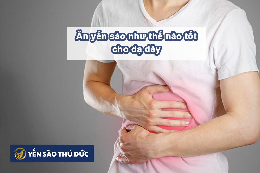 Ăn yến sào như thế nào tốt cho dạ dày được bồi bổ