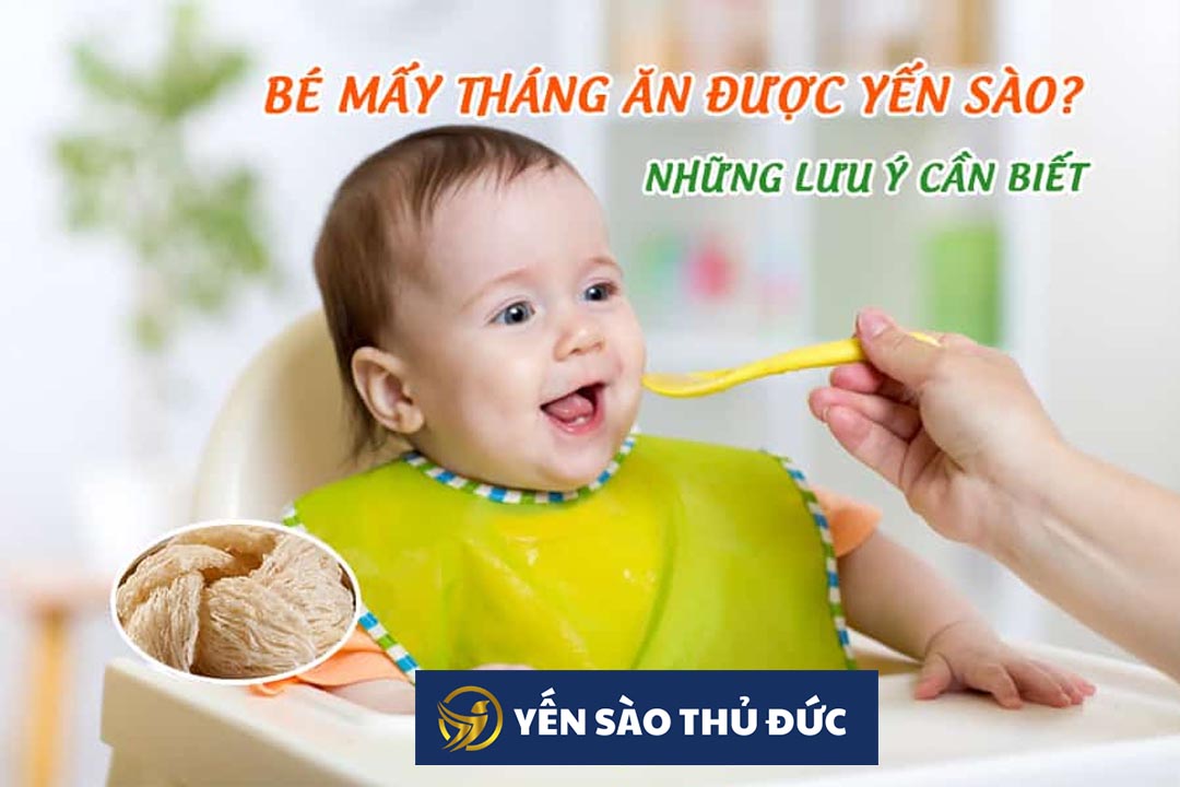 Những lưu ý khi cho trẻ em ăn yến sào cần lưu ý