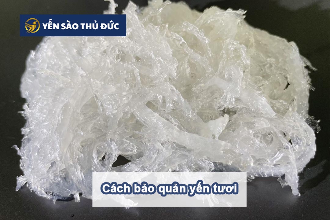 Cách bảo quản yến sào không bị hư hỏng, ẩm mốc 3 Hướng dẫn cách bảo quản yến tươi đúng cách