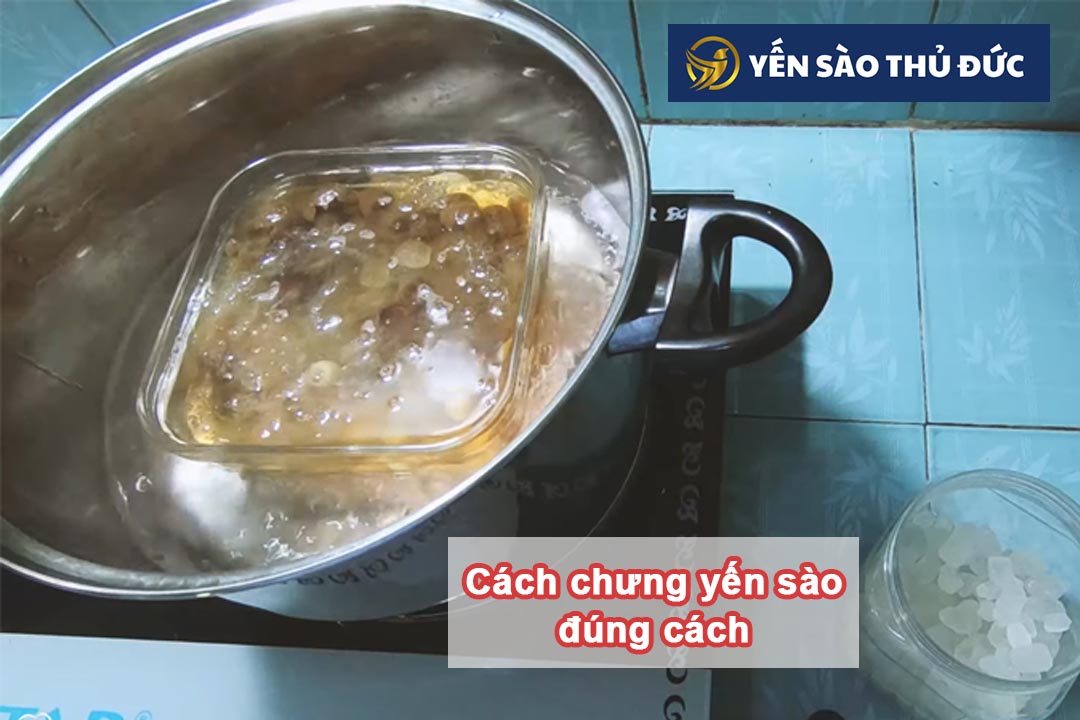 Hướng dẫn cách chưng yến sào đúng cách nhất