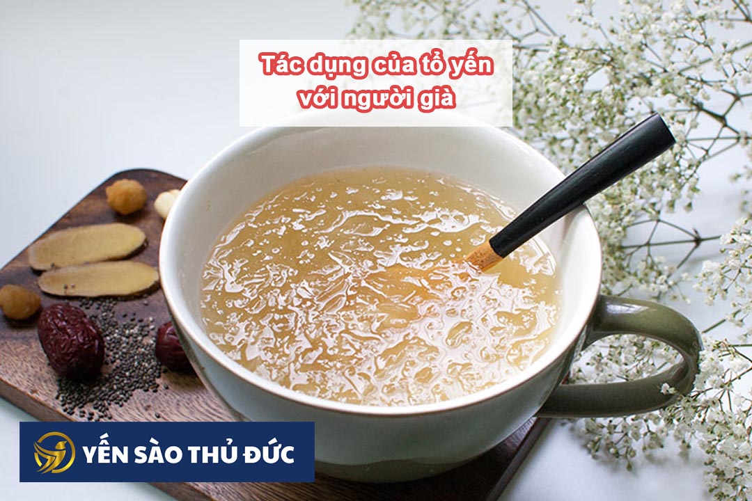 Tác dụng của tổ yến với người già khi sử dụng thường xuyên 