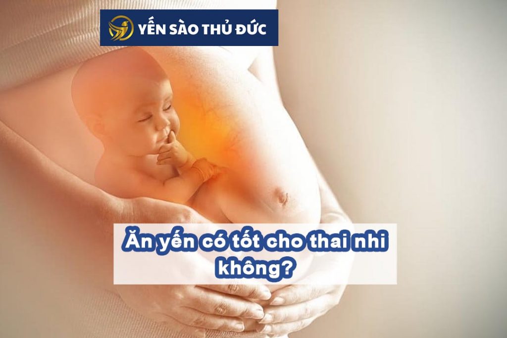 Ăn yến có tốt cho thai nhi không?