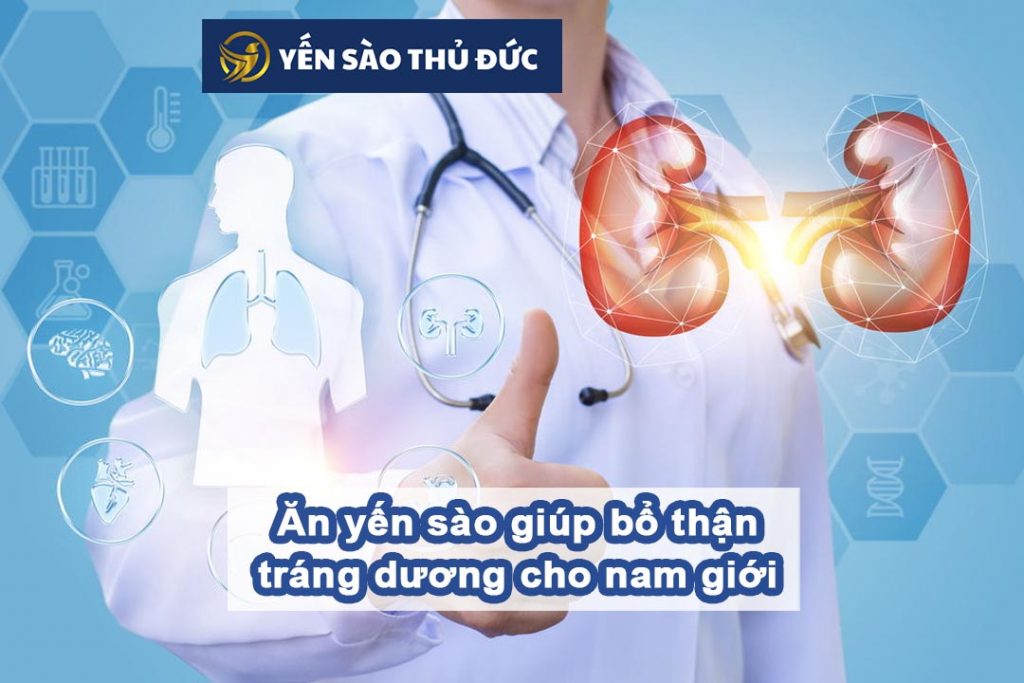 Ăn yến sào giúp bổ thận tráng dương cho nam giới