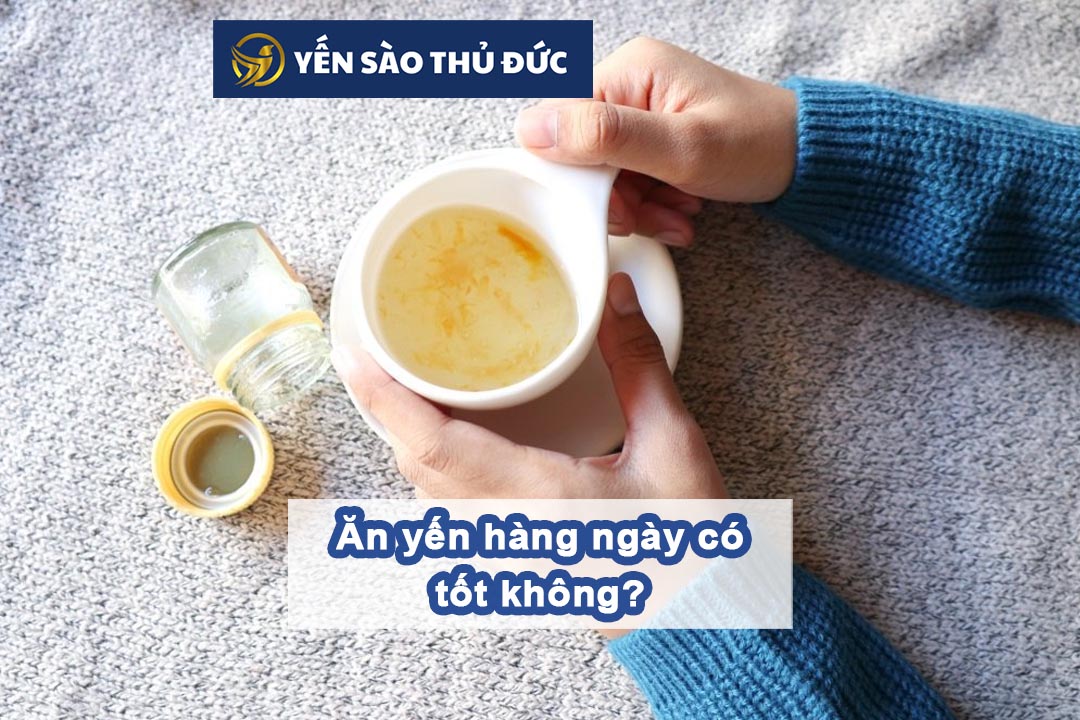 Ăn yến hàng ngày có tốt không