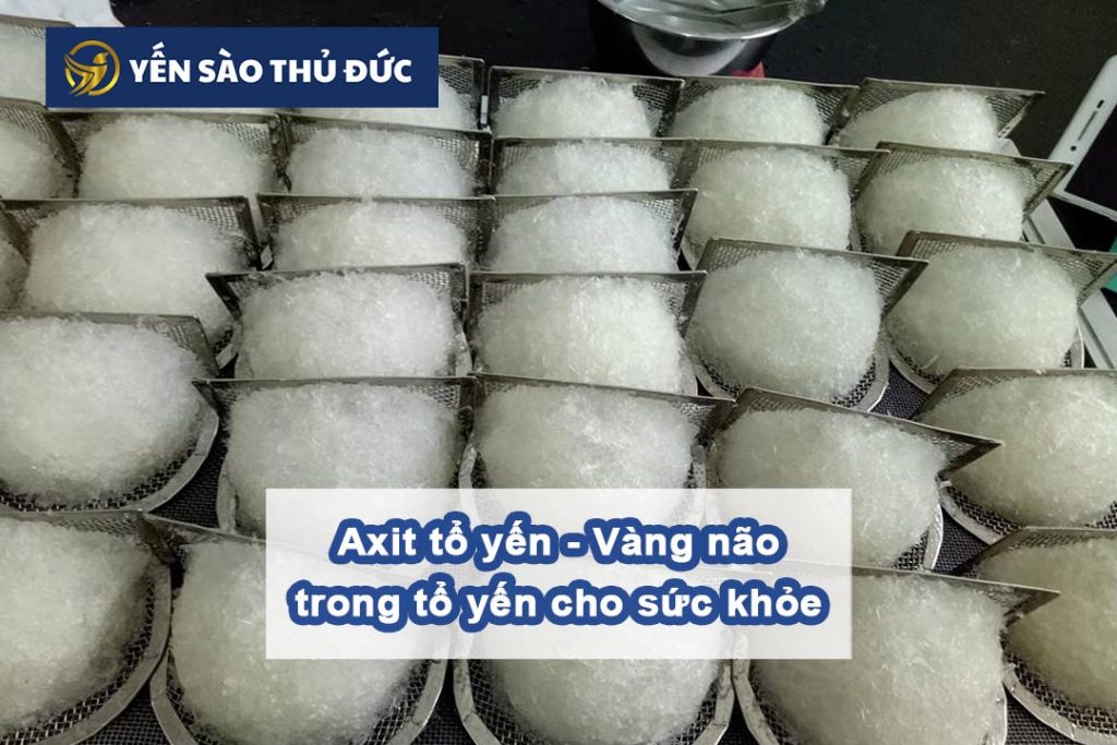 Axit tổ yến - Vàng não trong tổ yến cho sức khỏe