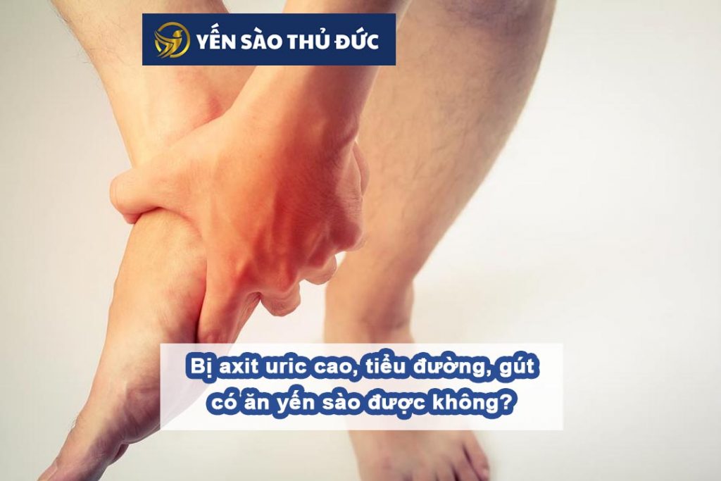 Bị axit uric cao ăn yến sào có được không?