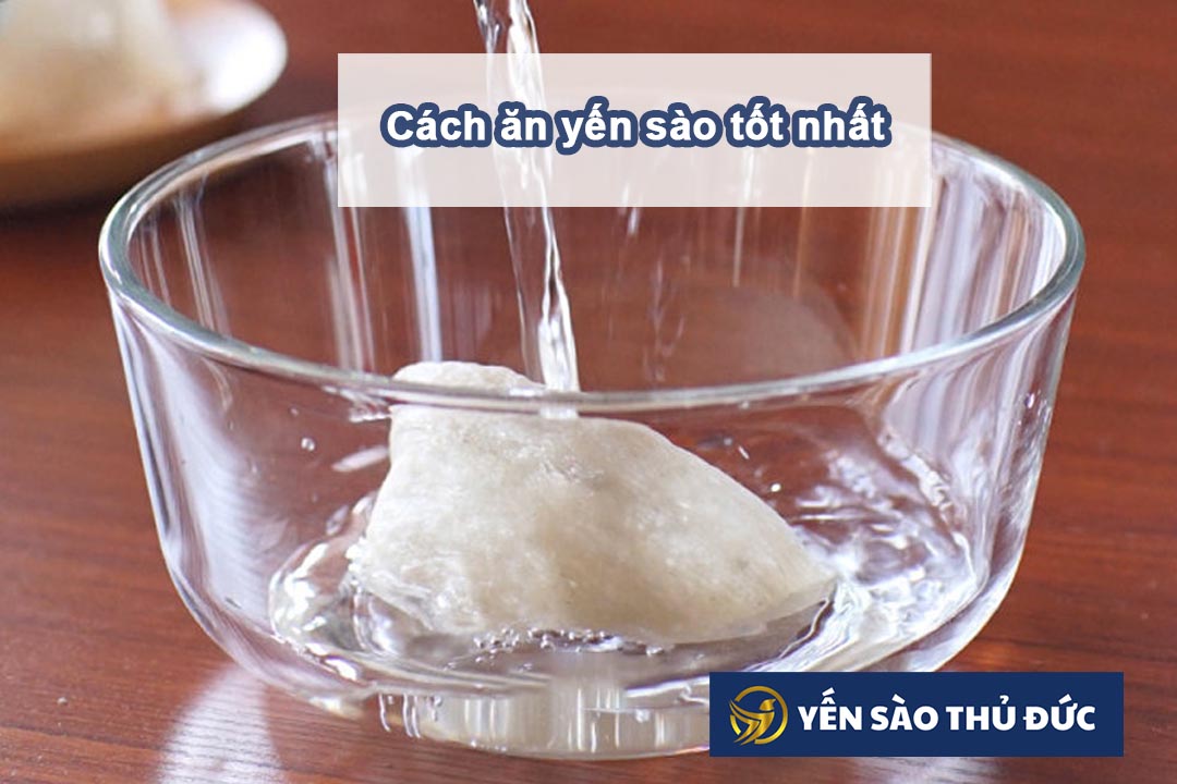 Hướng dẫn cách ăn yến sào tốt nhất cho người mới