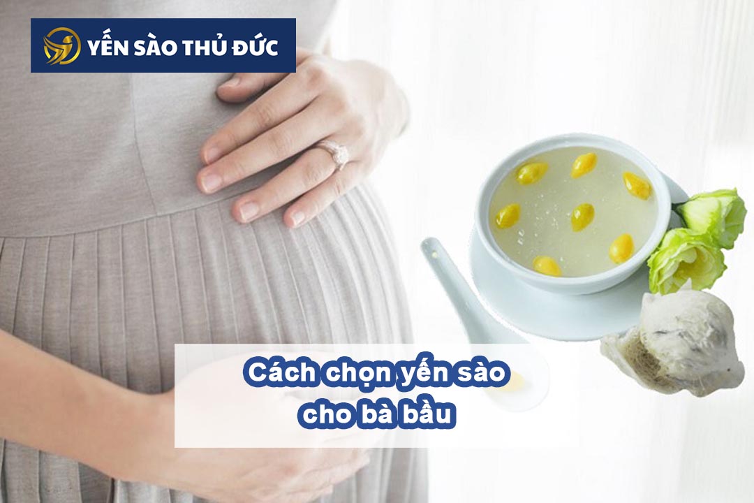 Cách chọn yến sào cho bà bầu bồi bổ dinh dưỡng