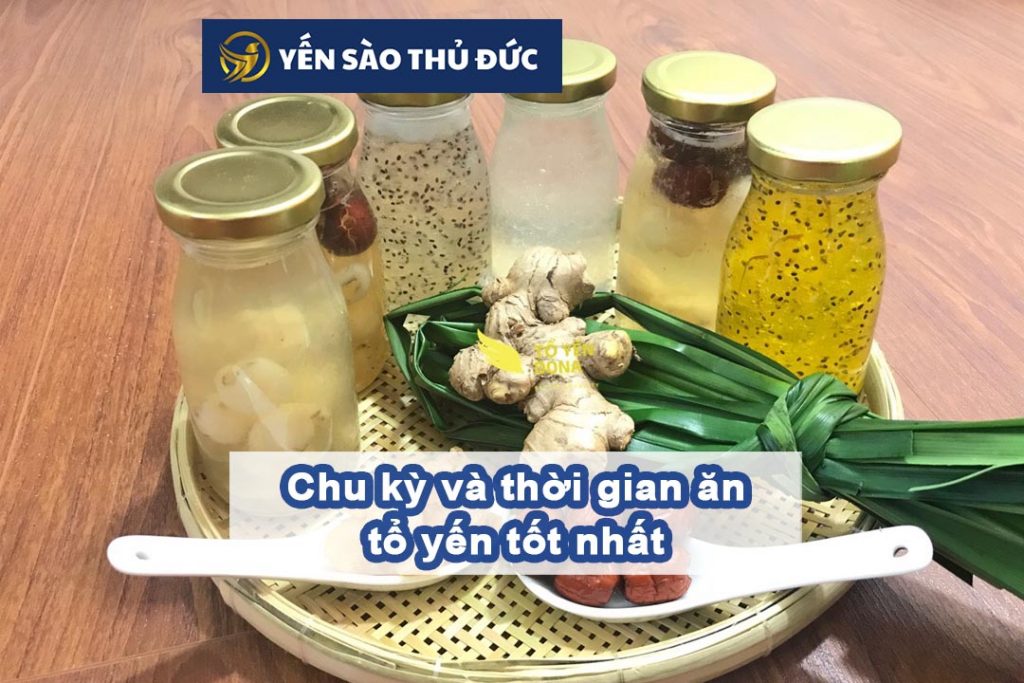 Chu kỳ và thời gian ăn tổ yến hiệu qủa