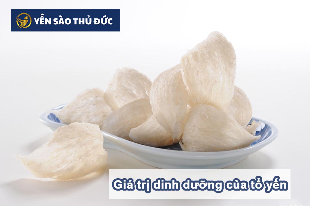 Giá trị dinh dưỡng của tổ yến là gì?