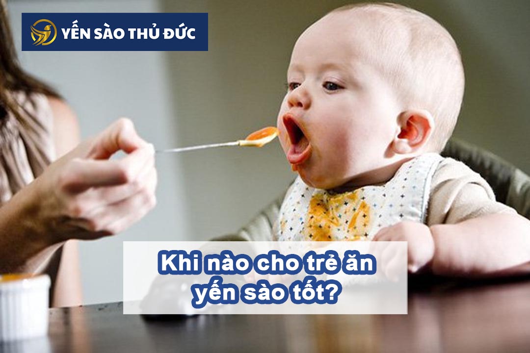 Khi nào cho trẻ ăn yến sào là phù hợp?