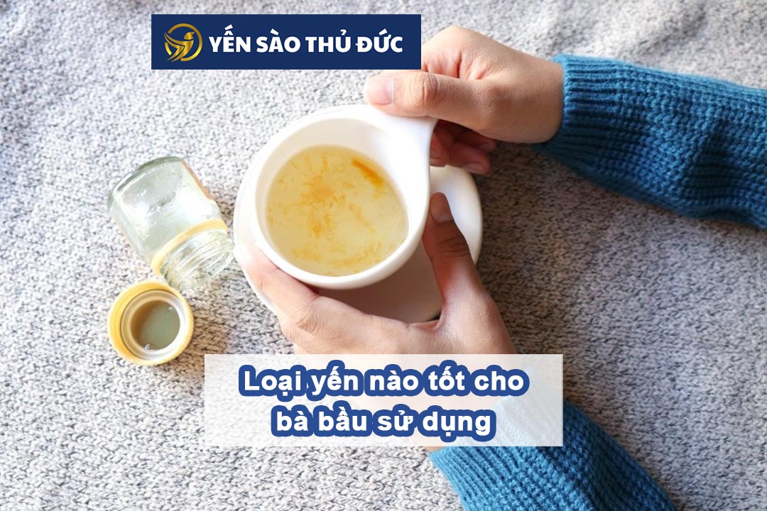 Loại yến nào tốt cho bà bầu mà bạn nên lựa chọn