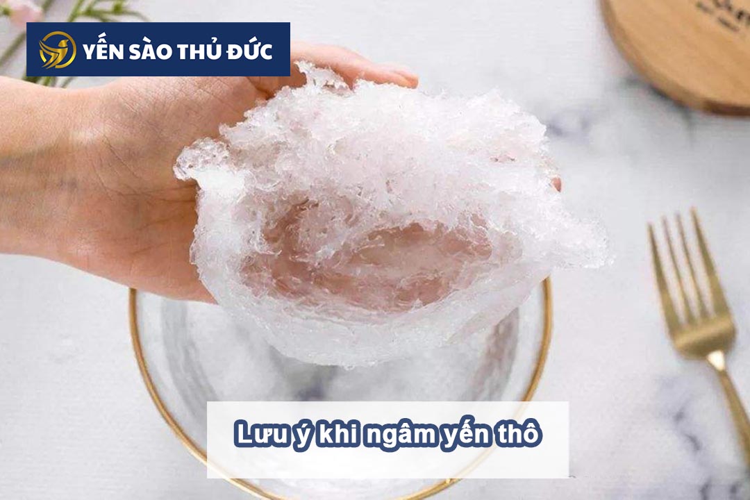 Lưu ý khi ngâm tổ yến thô thích hợp