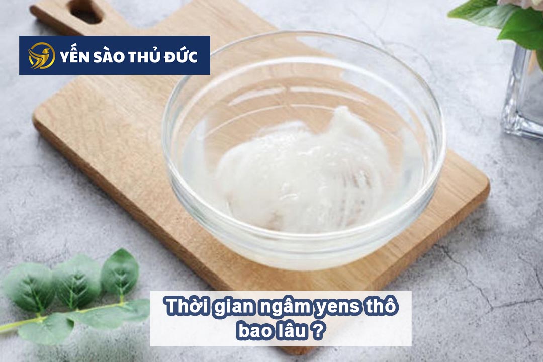 Thời gian ngâm yến thô bao lâu là được?