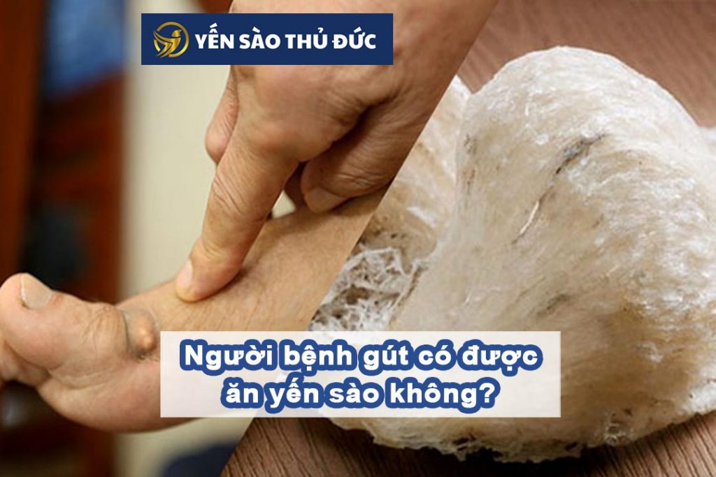 Người bệnh gút có được ăn yến sào không?