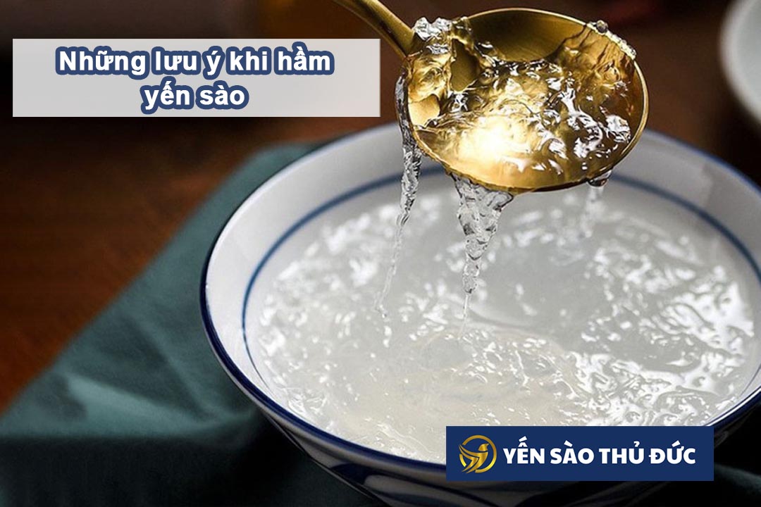 Những lưu ý khi hầm yến sào mà bạn cần nắm được