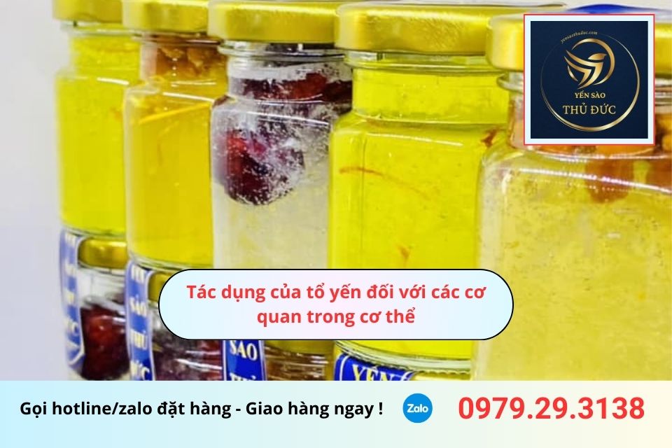 Tác dụng của tổ yến đối với các cơ quan trong cơ thể 2 Tác dụng của tổ yến đối với các cơ quan trong cơ thể