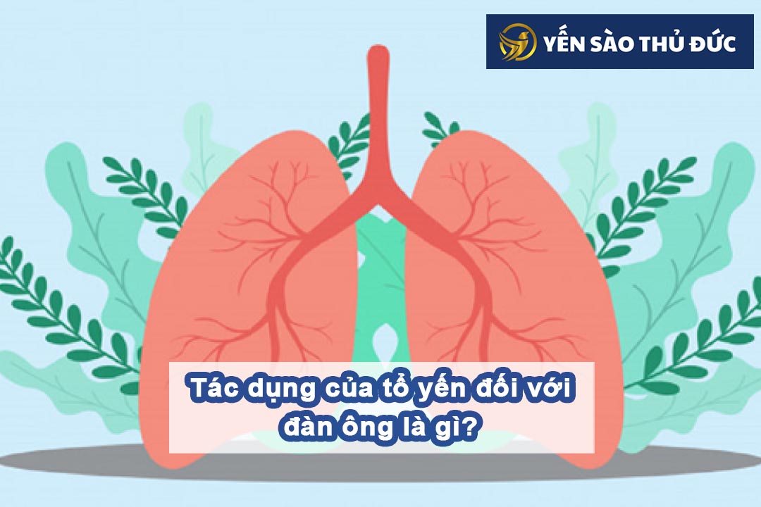 Tác dụng của tổ yến đối với đàn ông là gì?