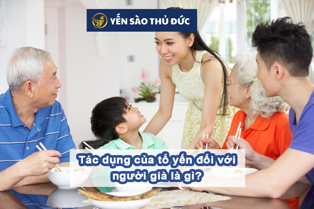 Tác dụng của tổ yến đối với người già là gì?