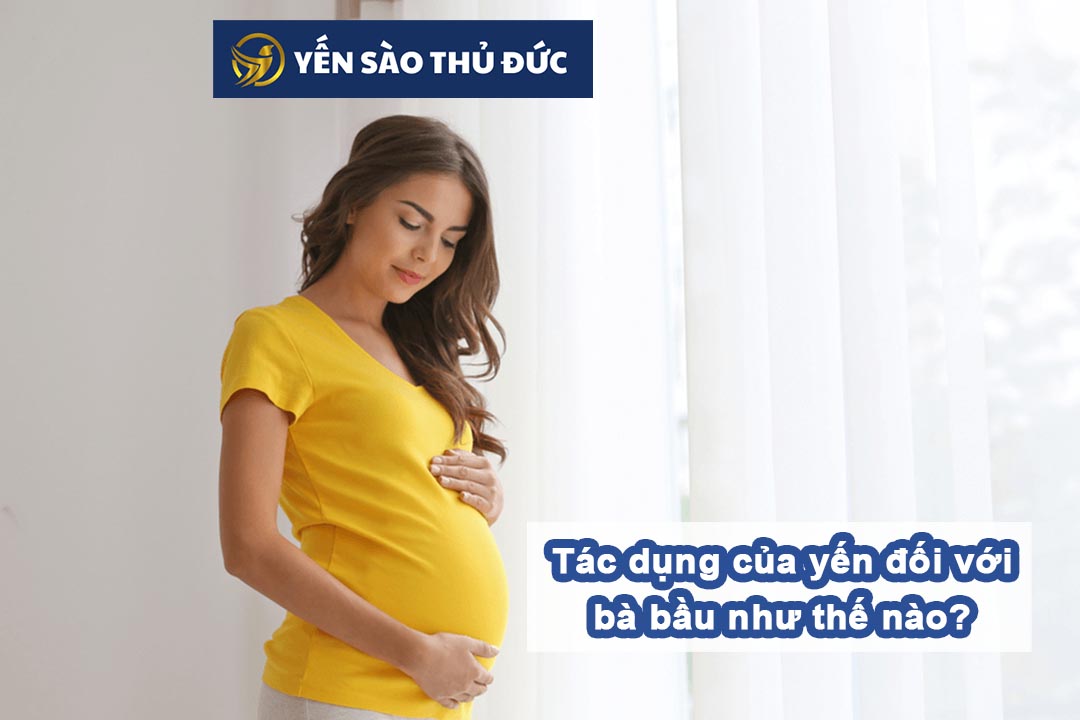 Tác dụng của yến đối với bà bầu như thế nào?