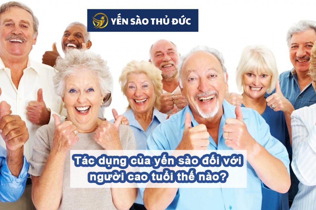 Tác dụng của yến sào đối với người cao tuổi thế nào?