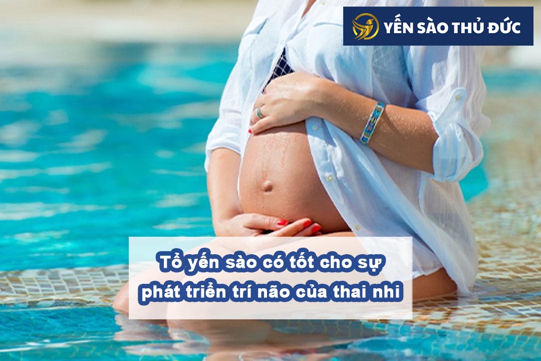 Tổ yến sào có tốt cho sự phát triển trí não của thai nhi