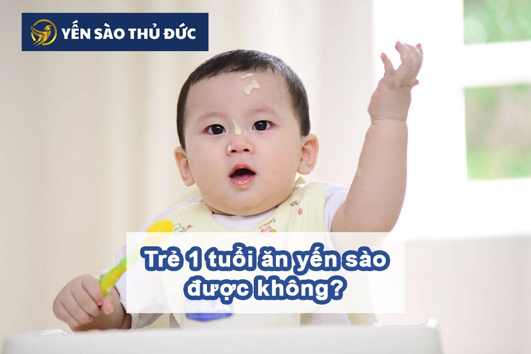 Trẻ 1 tuổi ăn yến sào có được không?