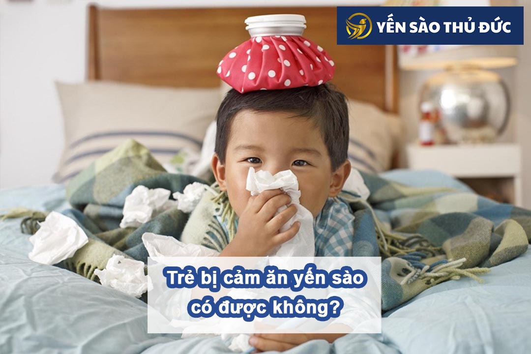 Cùng tìm hiểu chủ đề trẻ bị cảm ăn yến sào có được không?