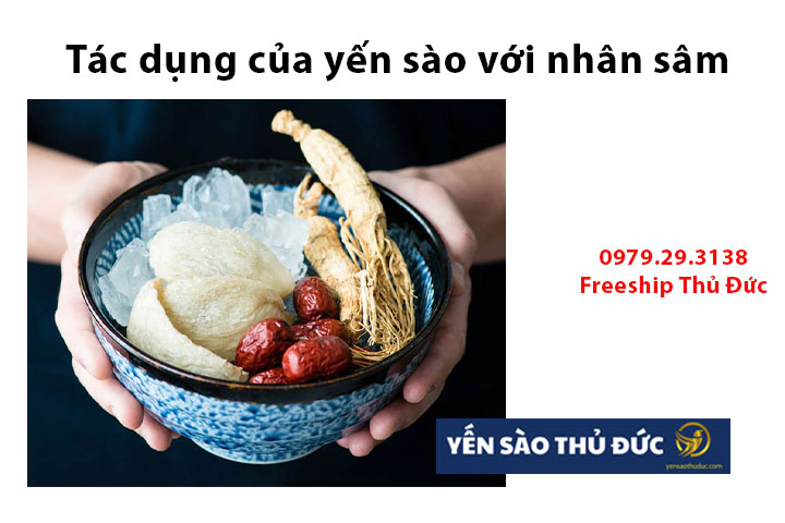 Tác dụng của yến sào với nhân sâm Hoa Kỳ