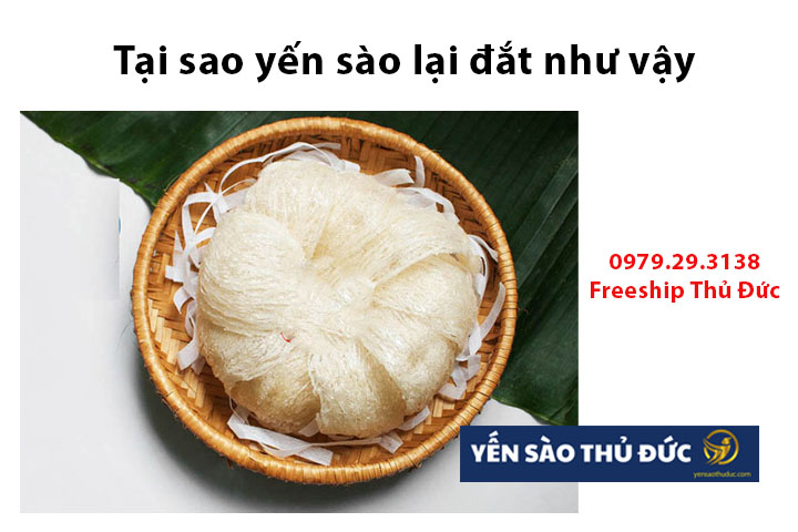 Tại sao yến sào lại đắt như vậy