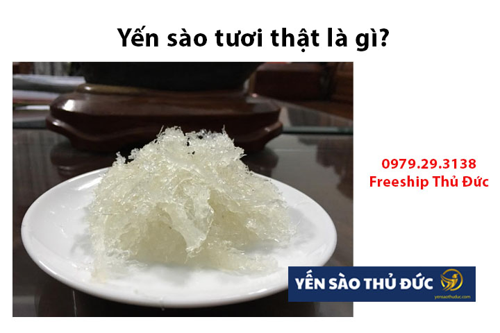 Yến sào tươi thật là gì?