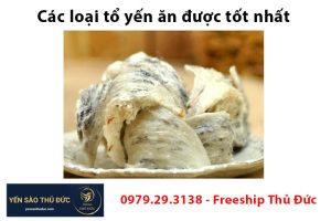 Các loại tổ yến ăn được tốt nhất trên thị trường