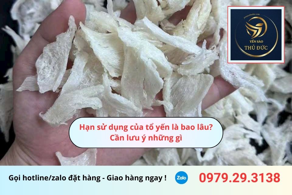 Hạn sử dụng của tổ yến là bao lâu? Cần lưu ý những gì