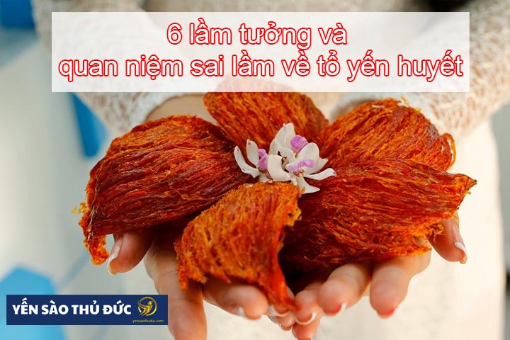 6 lầm tưởng và quan niệm sai lầm về tổ yến huyết