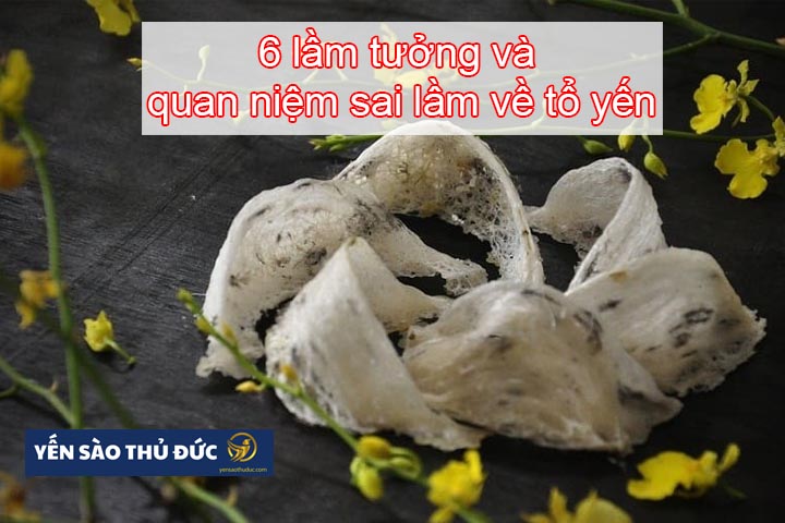 6 lầm tưởng và quan niệm sai lầm về tổ yến